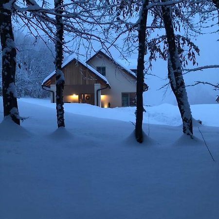 בלונו Loft Naturalpina Dolomiti Farm מראה חיצוני תמונה