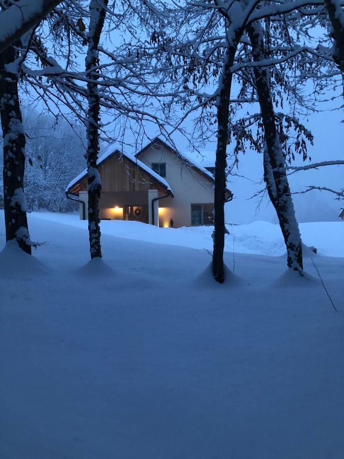 בלונו Loft Naturalpina Dolomiti Farm מראה חיצוני תמונה