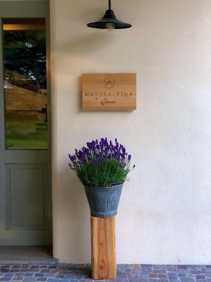 בלונו Loft Naturalpina Dolomiti Farm מראה חיצוני תמונה